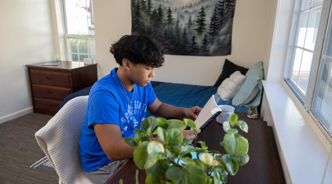 Student sitting at a desk studying