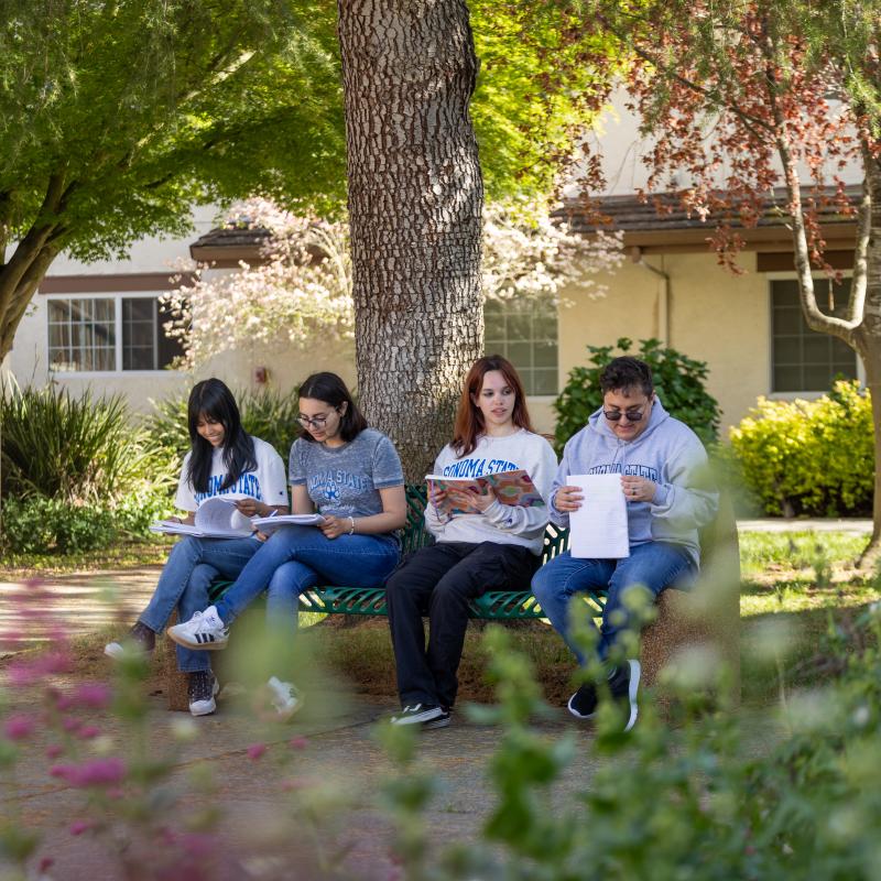 People reading outside