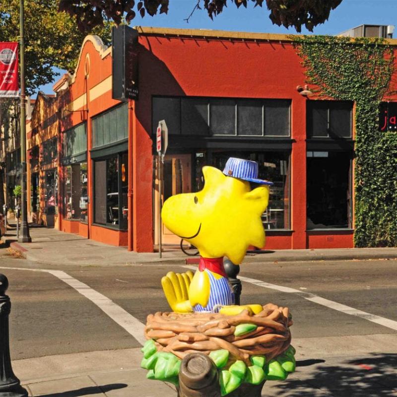 Downtown Santa Rosa