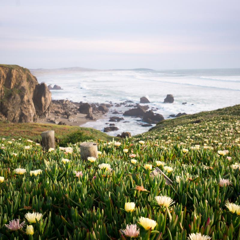 Sonoma County
