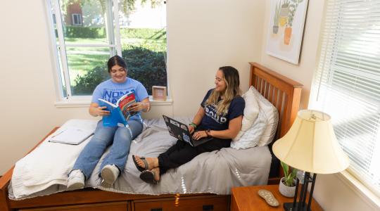 Students studying together
