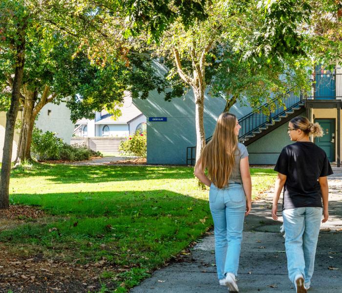 two students walking across the campus green towards housing