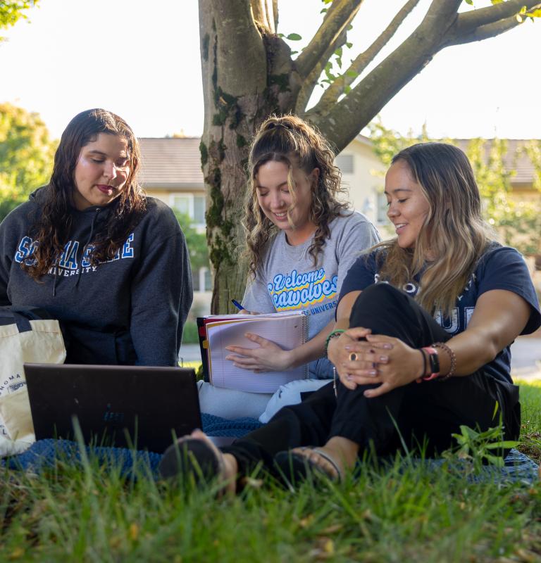 Students studying outside