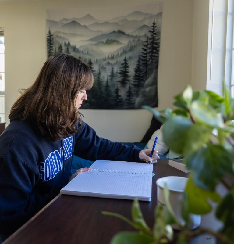 Student doing homework at a desk