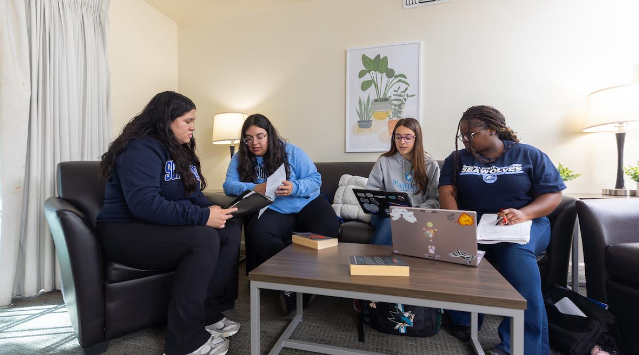 Four students sitting in a living room studying