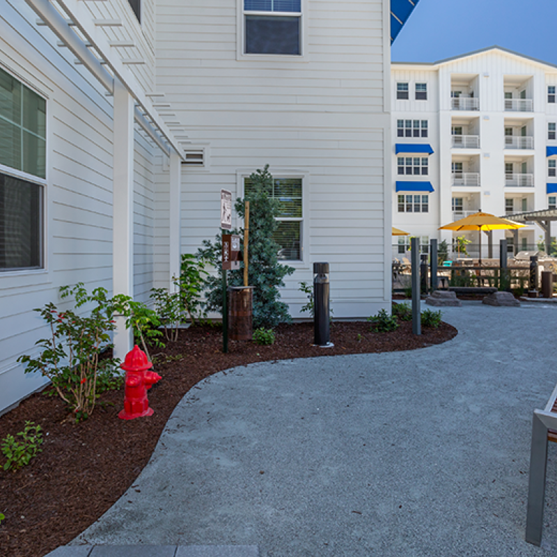 Marina Crossing Dog park