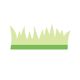 grass