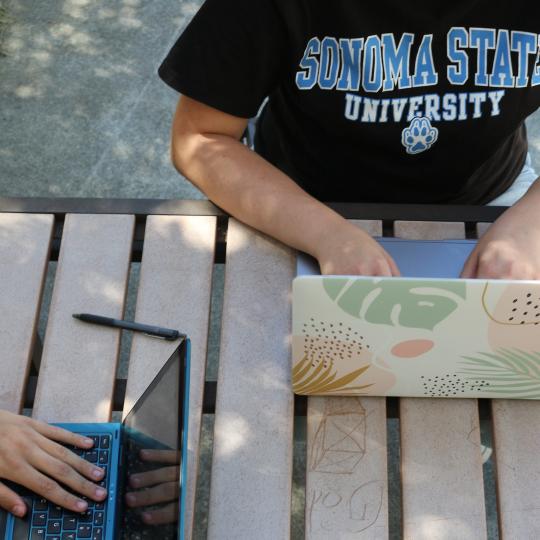 students working on laptops