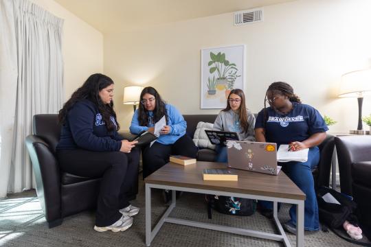 Four students sitting in a living room studying