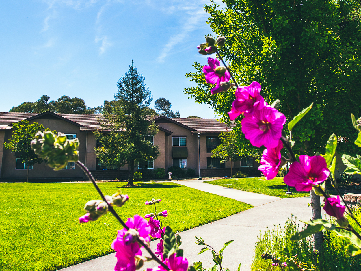 Housing in the background with beautiful flowers